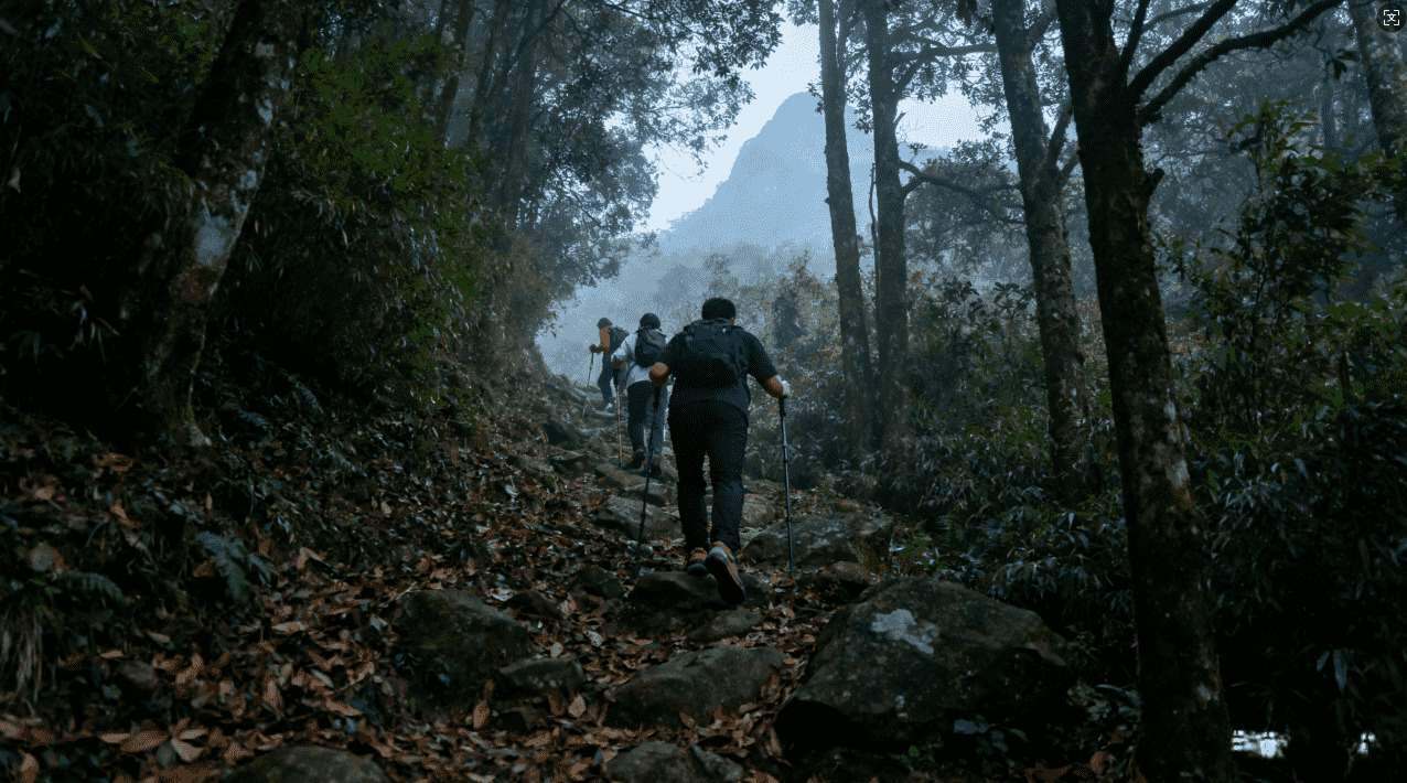如何选择安全稳定的VPN加速器